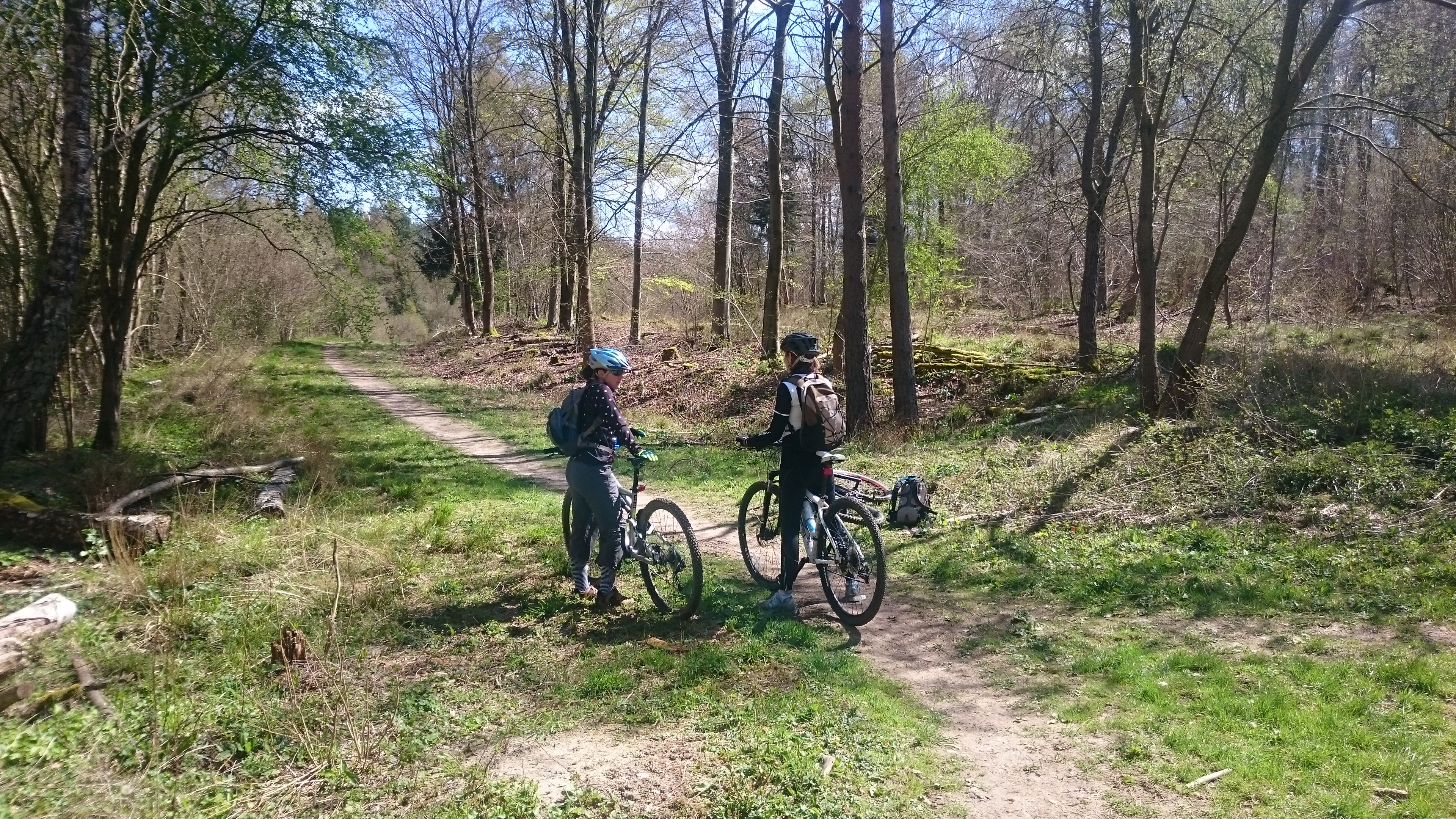 Get into mountain biking: Crab Wood