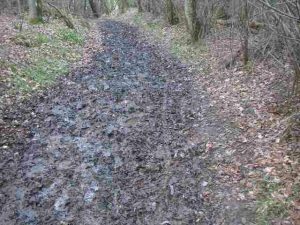 churned bridleway