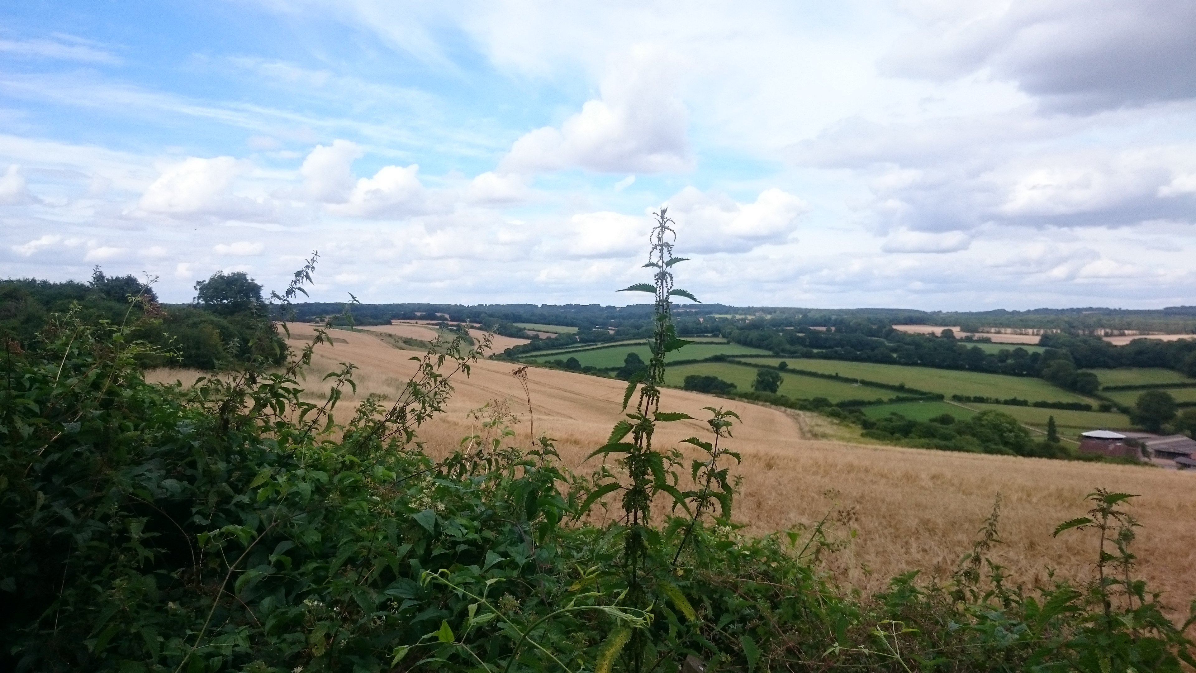 Downland prospect