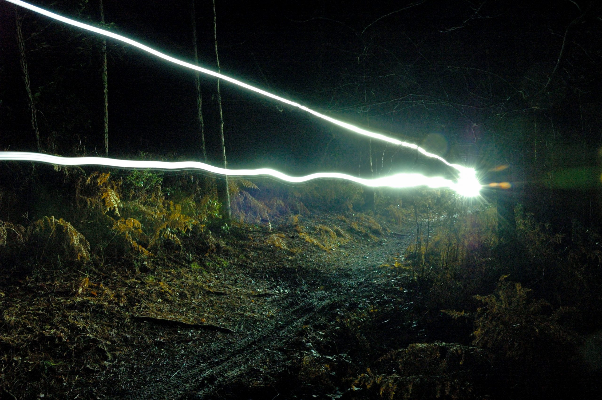 In the Dark: mountain biking at night