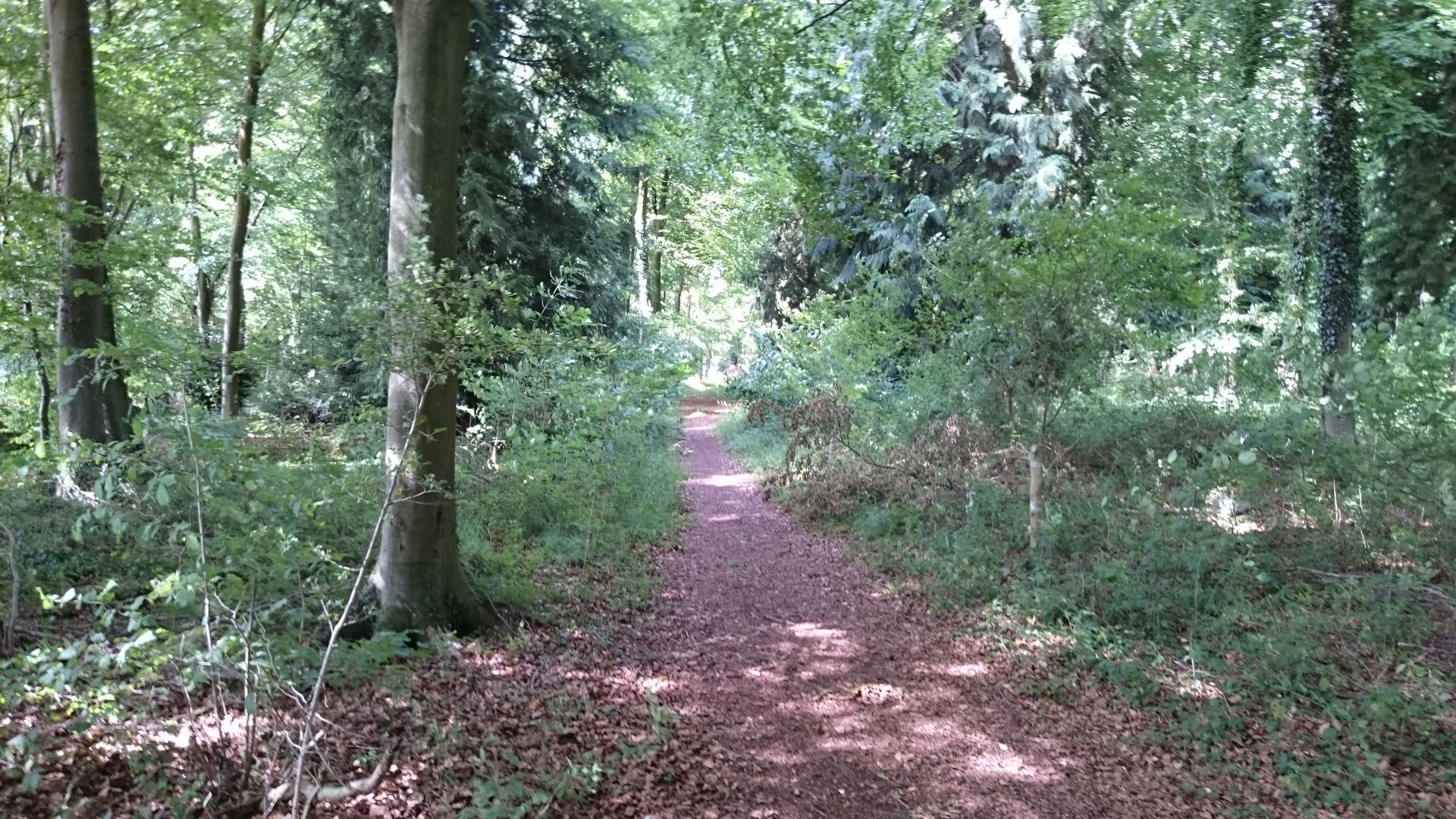 Cheriton Woods