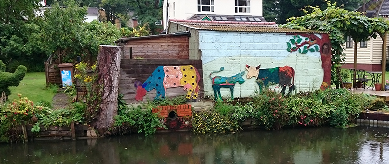 Basingstoke Canal