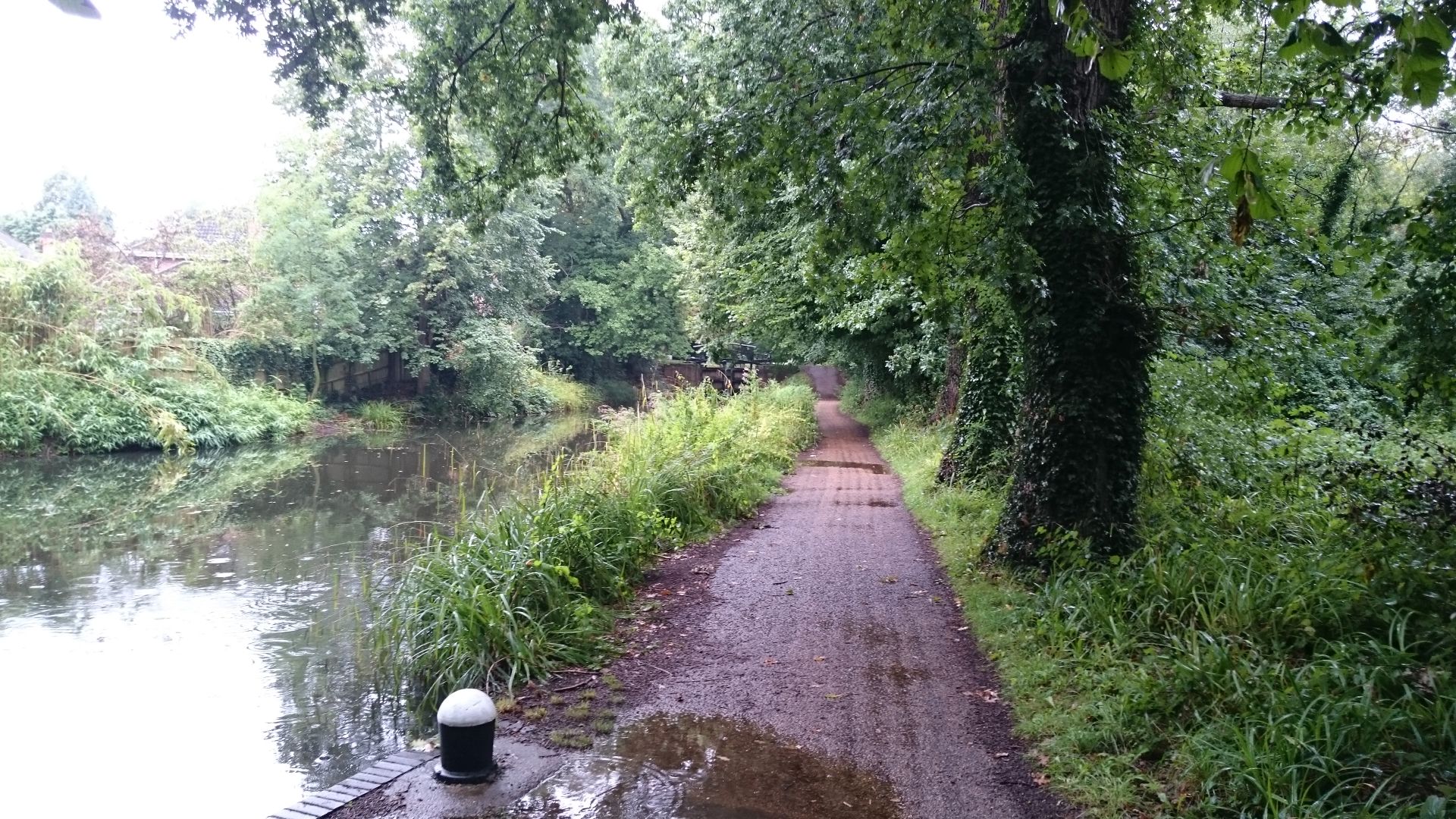Saturn trail, Basingstoke Canal