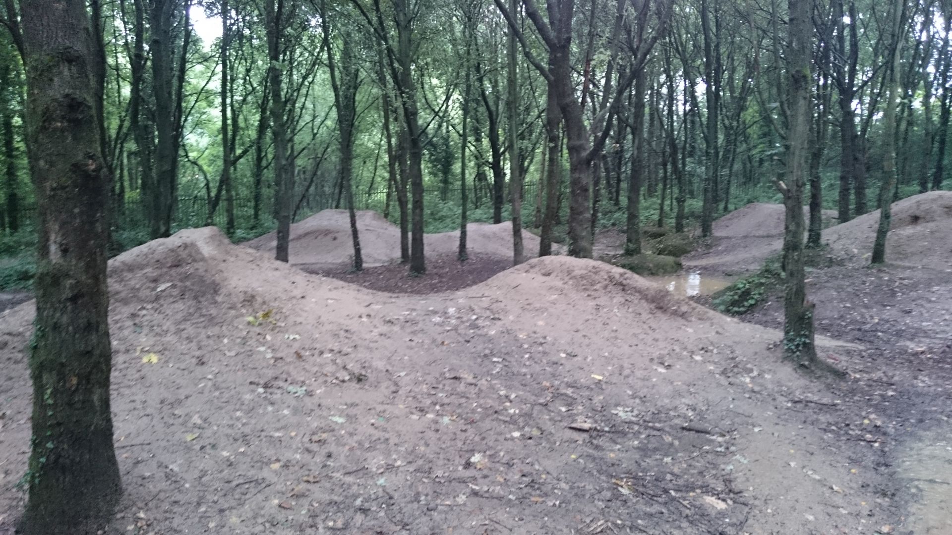 Jumps in the woods