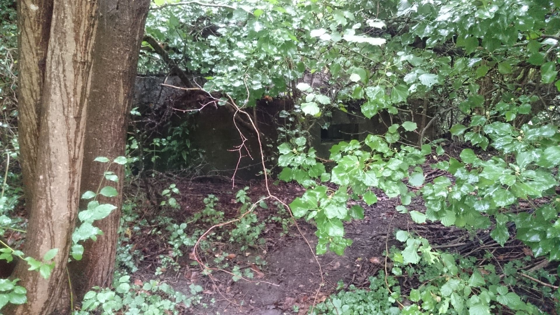 Crouching tank traps, hidden pillbox