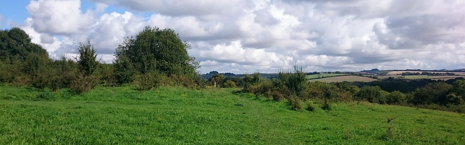 Wellbeing Rides are back