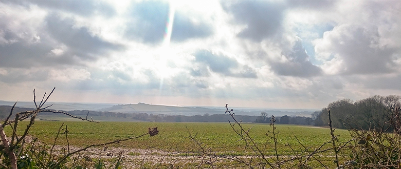 Hike a bike, South Downs Style: Classic Type 2 fun on Butser Hill