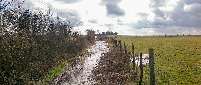 Wellbeing and Back to Biking rides cancelled