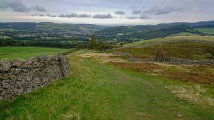 Steep and grassy